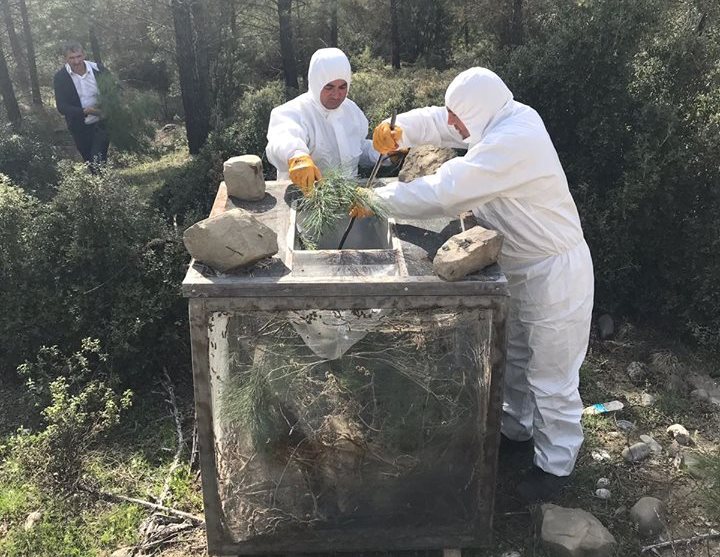 eğirdir haber,akın gazetesi,egirdir haberler,son dakika,Biyolojik Mücadelede Tel Kafes Yöntemi