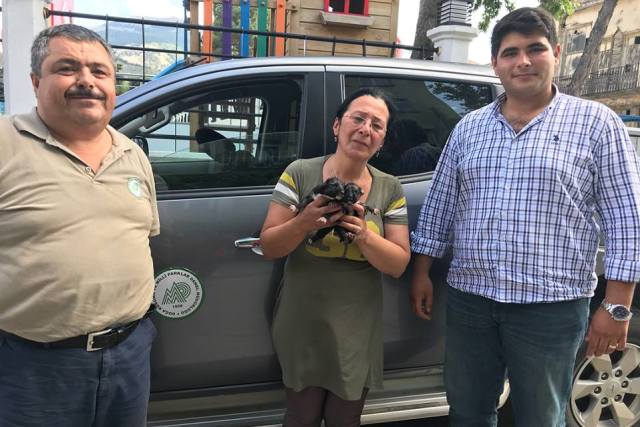 Terk edilmiş 4 yavru köpekten 2’si canlı olarak kurtarıldı 