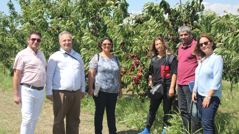 Kiraz Hasatı Eğirdir MAREM'de Masaya Yatırıldı