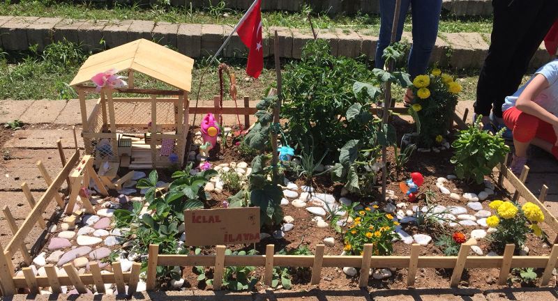Hobi Bahçeciliği Hayran Bıraktı