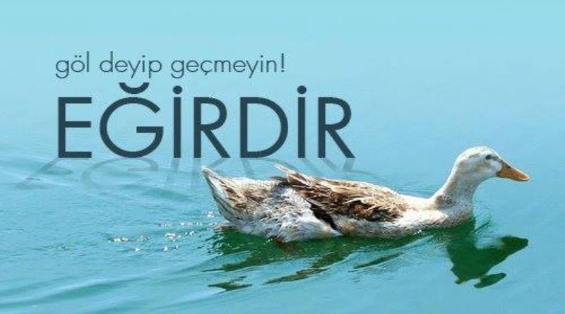 FISTIĞIN ÇEVRESİ, GÖL VE YOL EĞER FISTIK YOK OLURSA?!!!