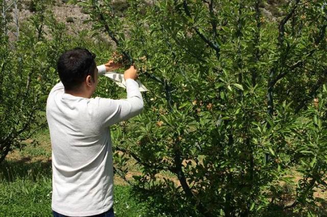 Biyoteknik Mücadele Destek Tebliği Yayınlandı 