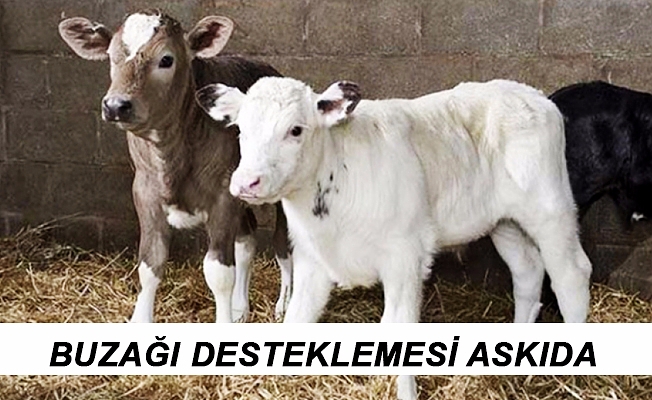 eğirdir haber,akın gazetesi,egirdir haberler,son dakika,DUYURU