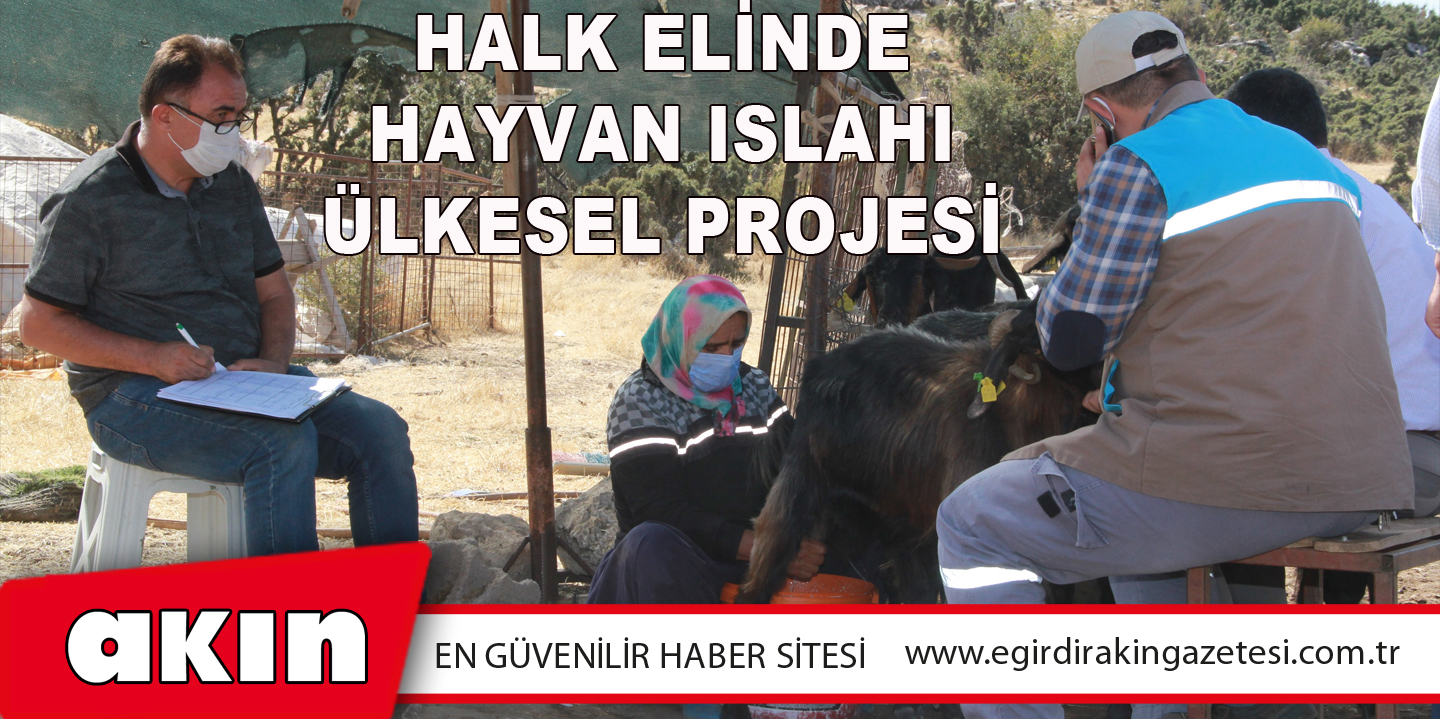 Halk Elinde Hayvan Islahı Ülkesel Projesi