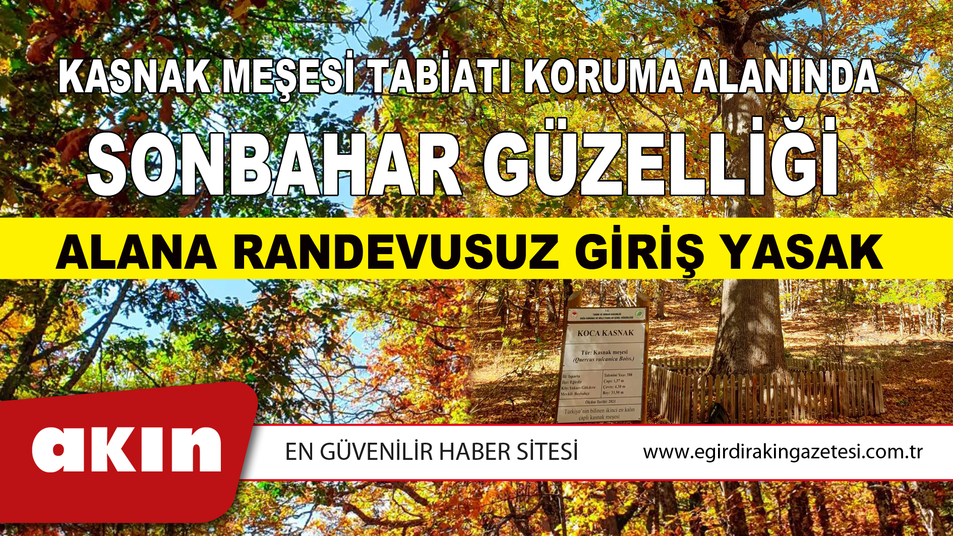 Kasnak Meşesi Tabiatı Koruma Alanında Sonbahar Güzelliği 