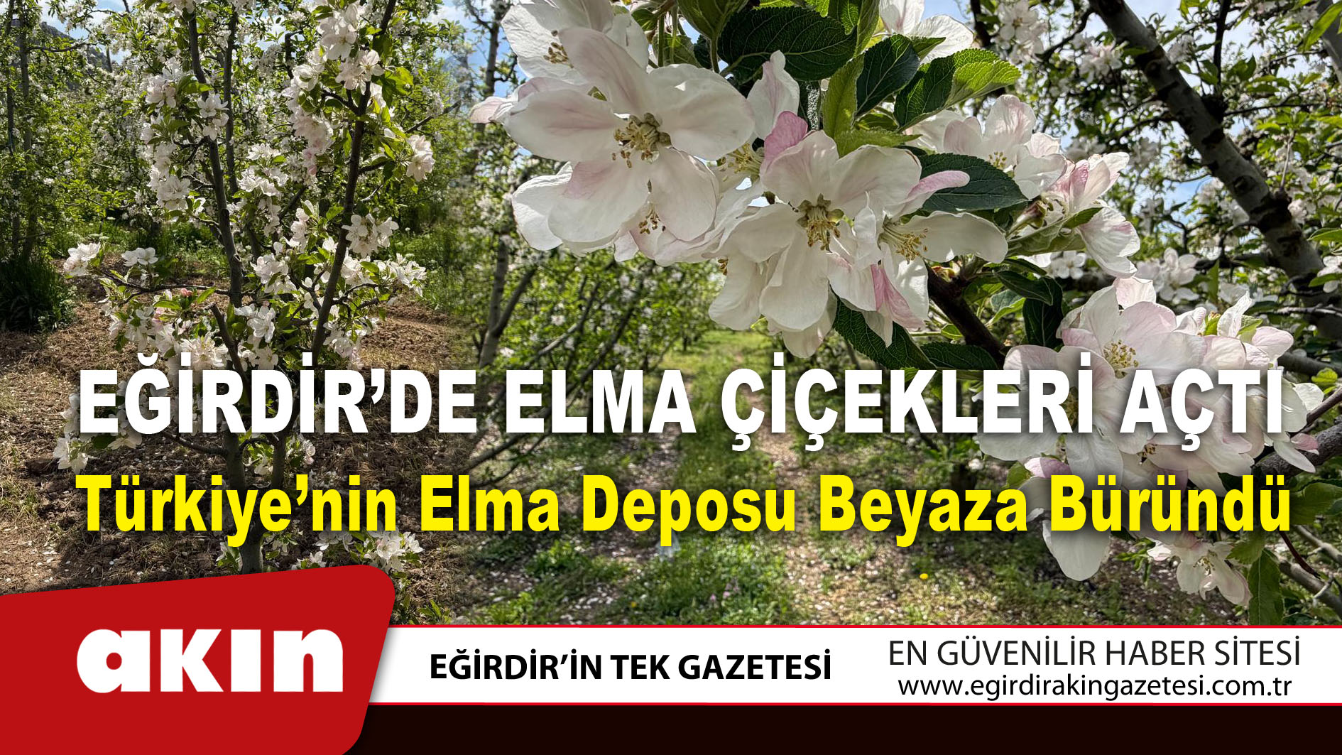 Eğirdir’de Elma Çiçekleri Açtı