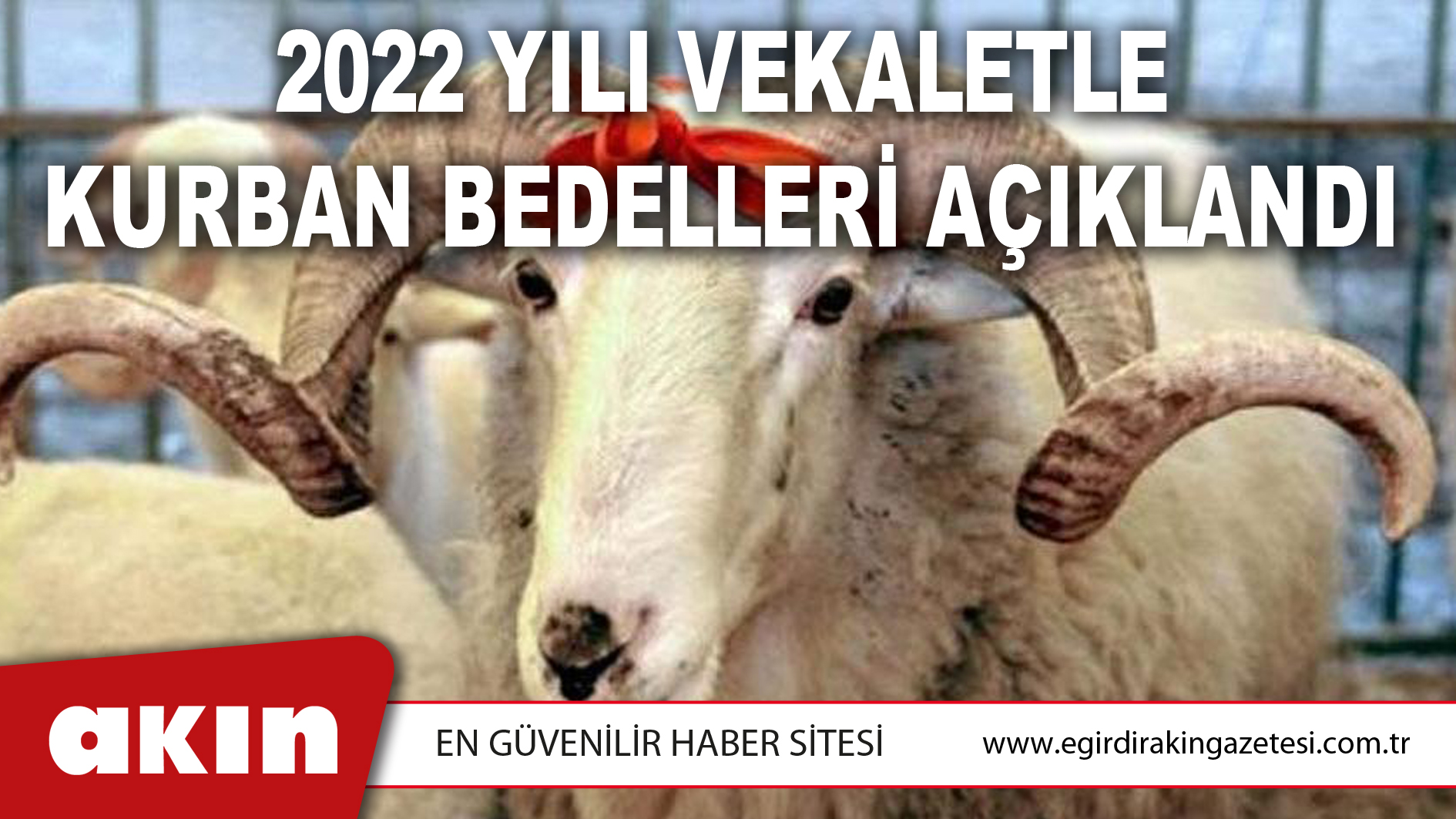 2022 YILI VEKALETLE KURBAN BEDELLERİ AÇIKLANDI
