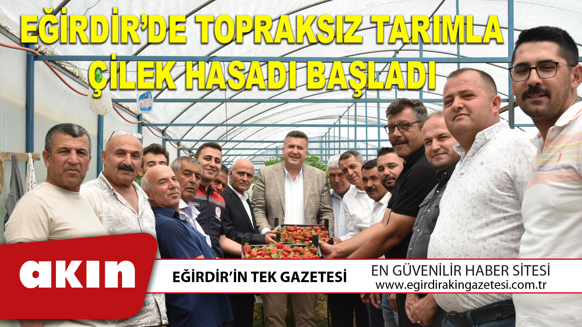 EĞİRDİR’DE TOPRAKSIZ TARIMLA ÇİLEK HASADI BAŞLADI