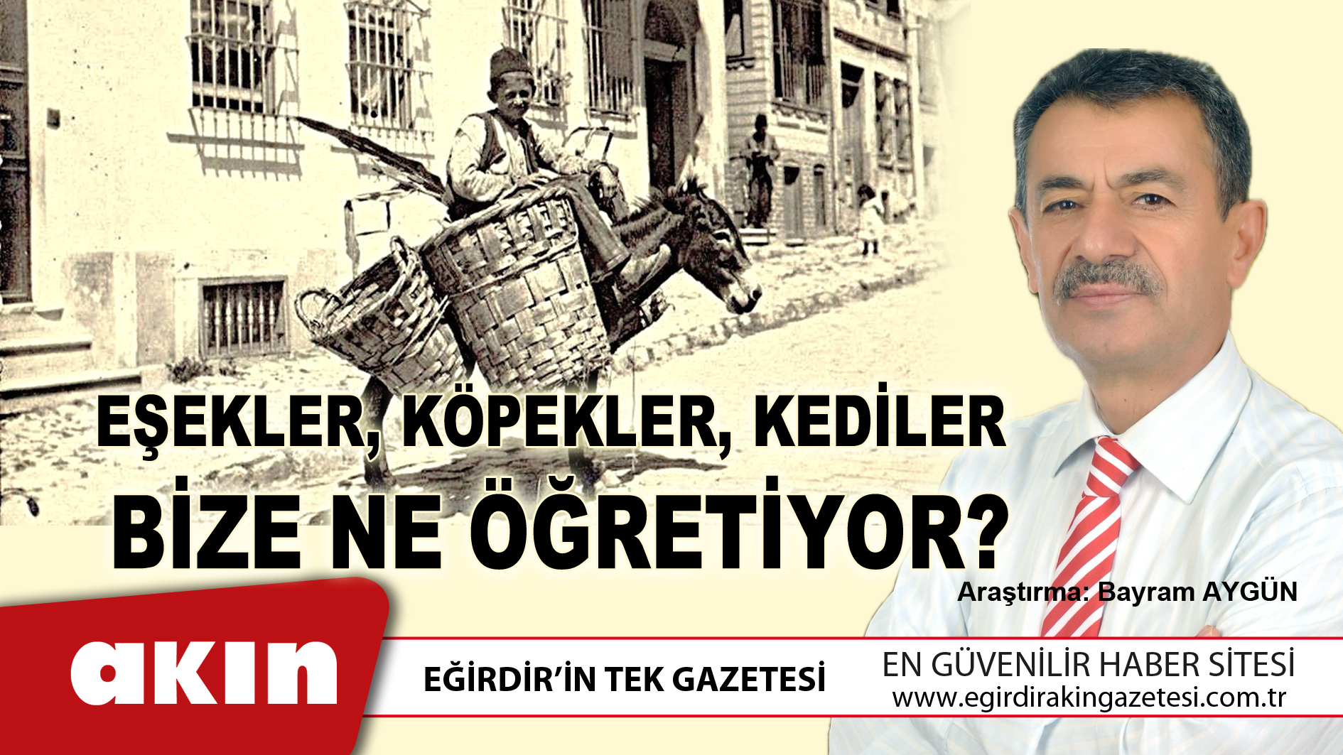 eğirdir haber,akın gazetesi,egirdir haberler,son dakika,Eşekler Köpekler Kediler Bize Ne Öğretiyor