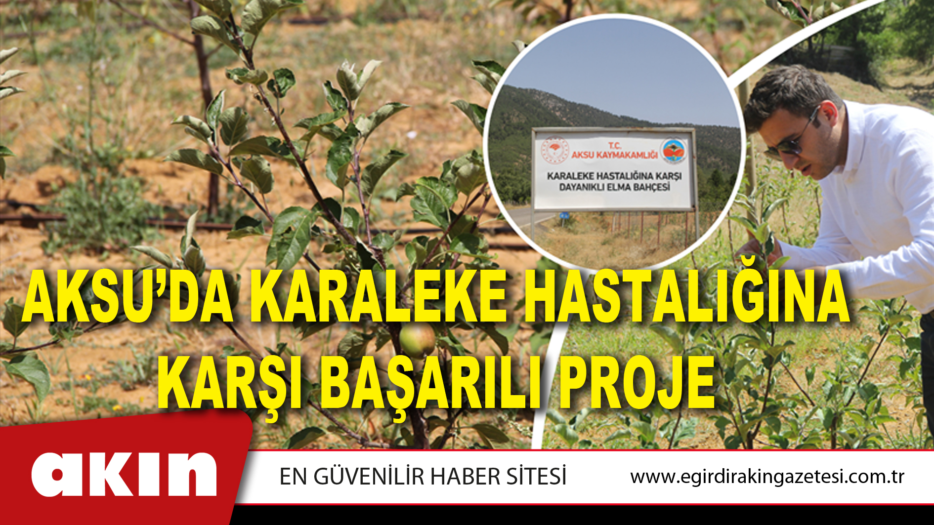 Aksu’da Karaleke Hastalığına Karşı Başarılı Proje