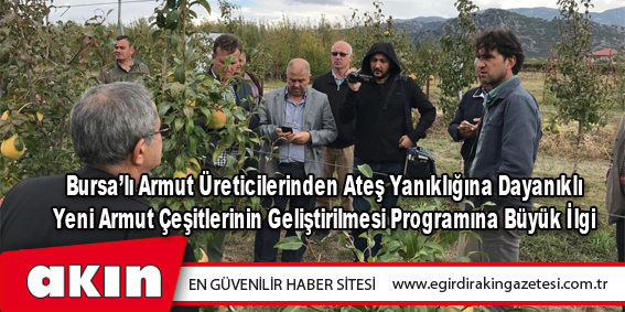 eğirdir haber,akın gazetesi,egirdir haberler,son dakika,Bursa’lı Armut Üreticilerinden Ateş Yanıklığına Dayanıklı Yeni Armut Çeşitlerinin Geliştirilmesi Programına Büyük İlgi