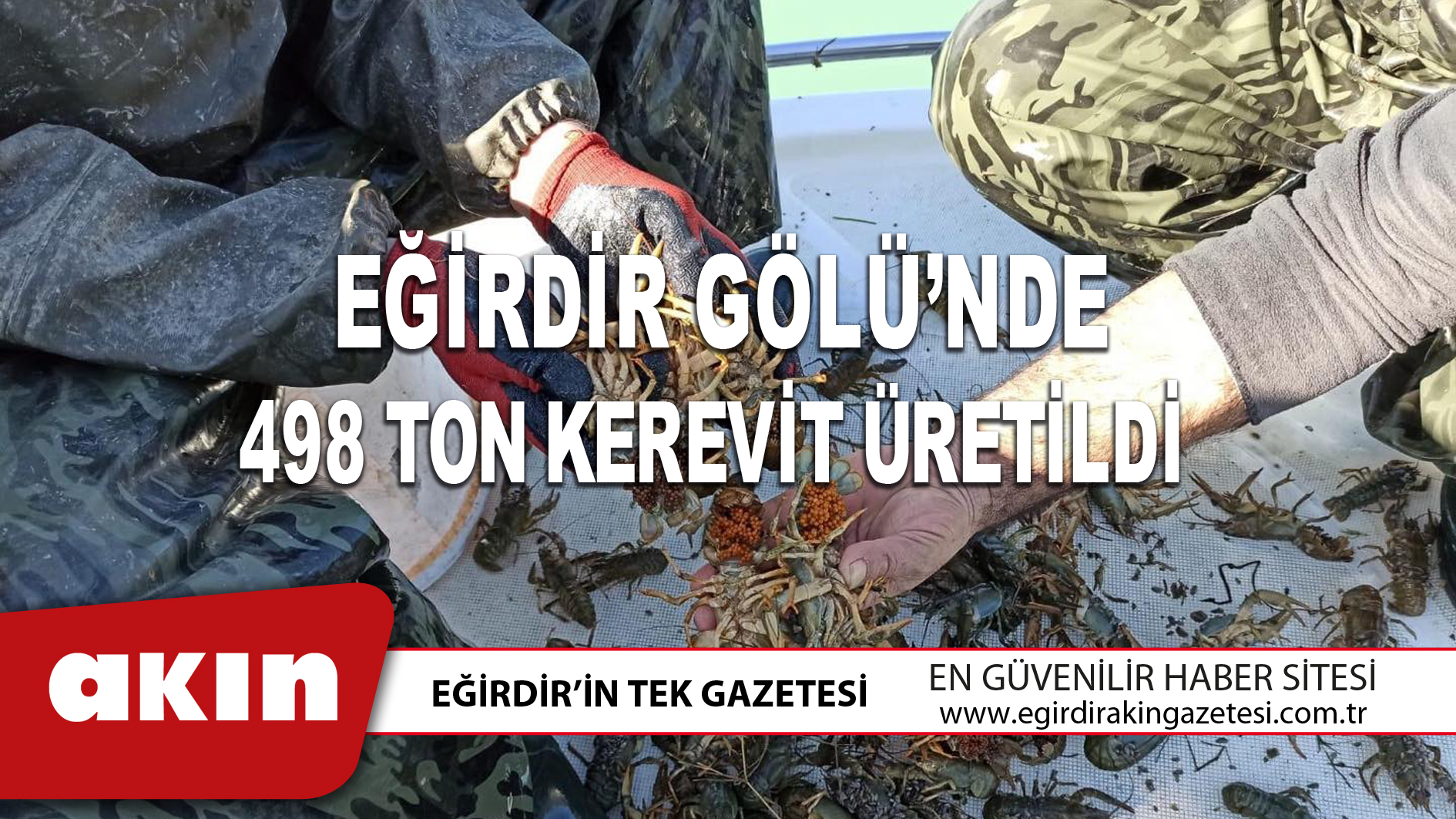eğirdir haber,akın gazetesi,egirdir haberler,son dakika,EĞİRDİR GÖLÜ’NDE 498 TON KEREVİT ÜRETİLDİ