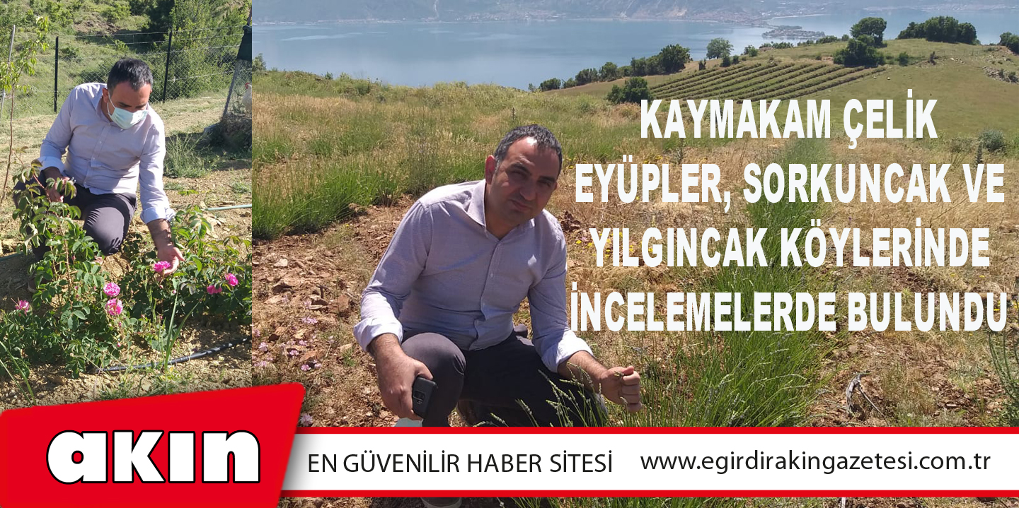 Kaymakam Çelik Eyüpler, Sorkuncak Ve Yılgıncak Köylerinde İncelemelerde Bulundu