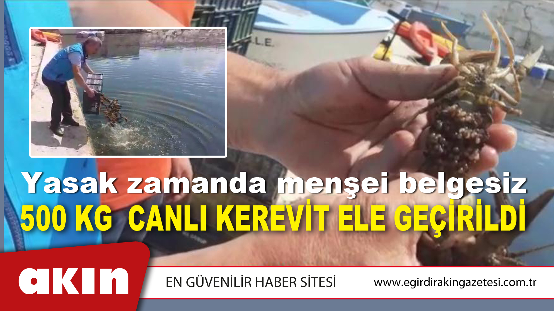 500 KG CANLI KEREVİT ELE GEÇİRİLDİ