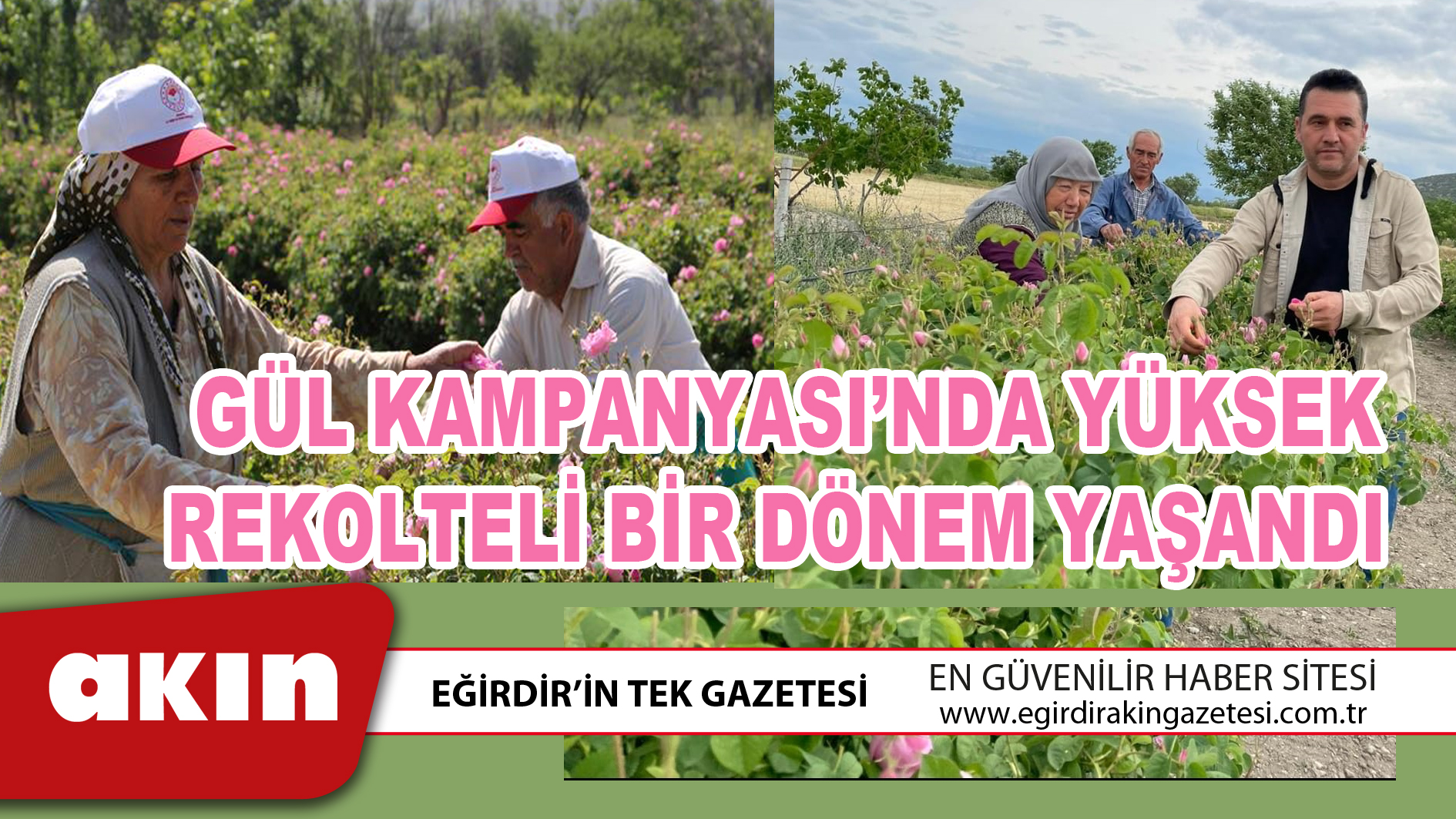 GÜL KAMPANYASI’NDA YÜKSEK REKOLTELİ BİR DÖNEM YAŞANDI