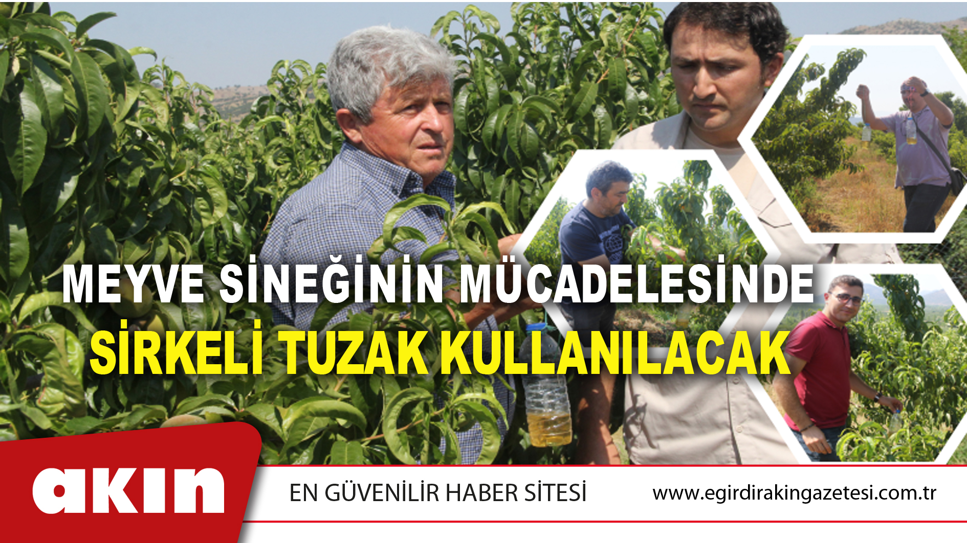 Meyve Sineğinin Mücadelesinde Sirkeli Tuzak Kullanılacak