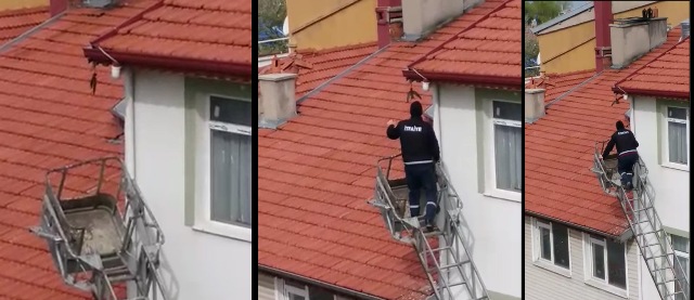 Telde takılı kalan kuşu itfaiye kurtardı