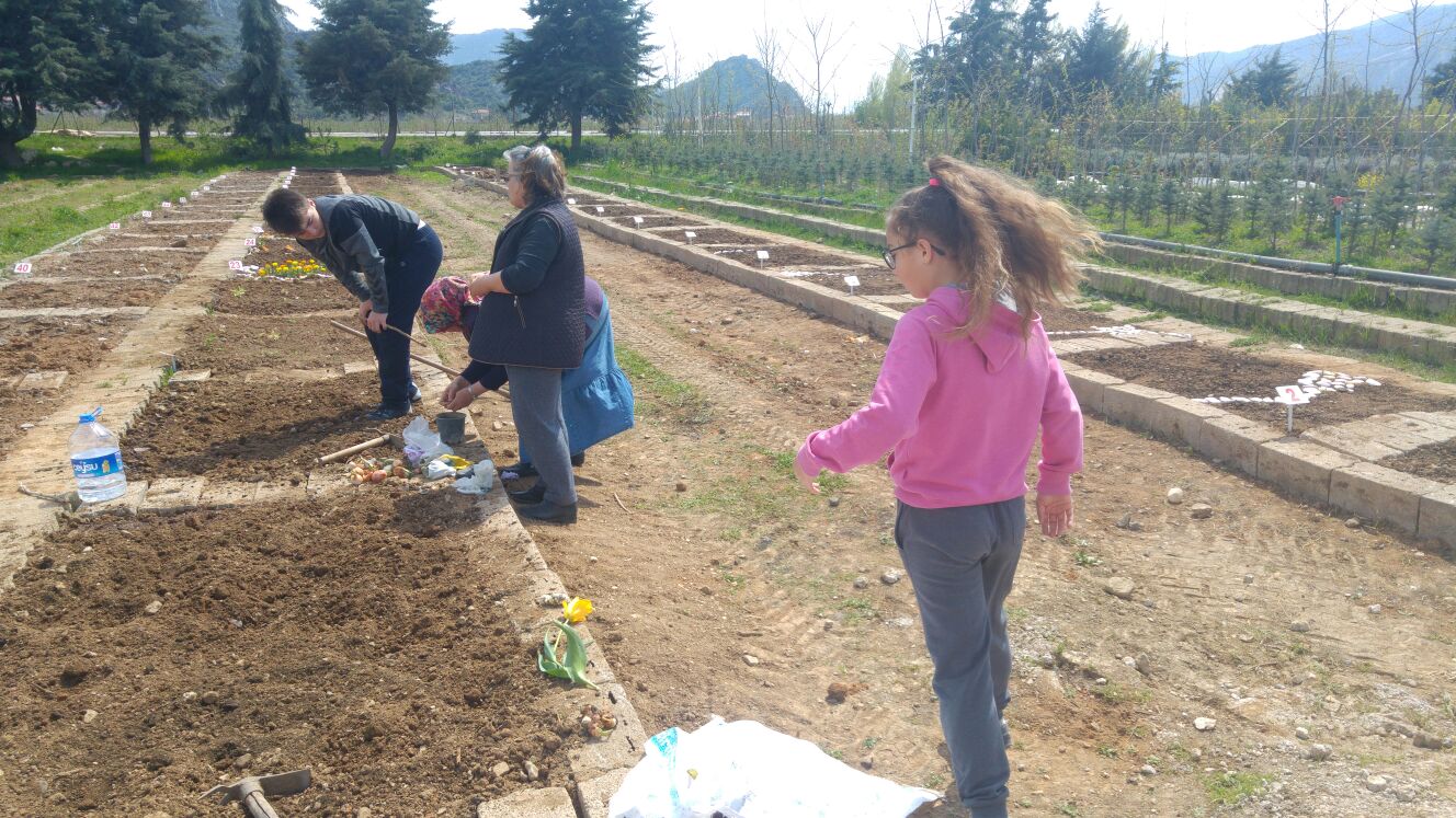 Çocuklar Aileleriyle Birlikte Hobi Bahçesi Oluşturdular