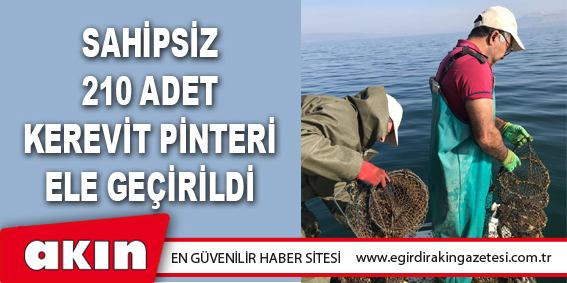 eğirdir haber,akın gazetesi,egirdir haberler,son dakika,Sahipsiz 210 Adet Kerevit Pinteri Ele Geçirildi