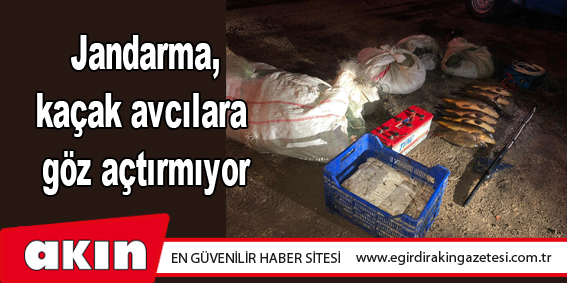  Jandarma, kaçak avcılara göz açtırmıyor