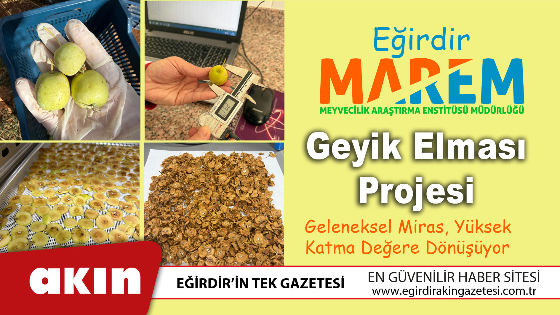 eğirdir haber,akın gazetesi,egirdir haberler,son dakika,Eğirdir MAREM’de Geyik Elması Projesi