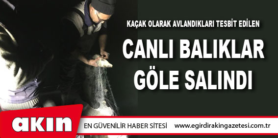 Kaçak Olarak Avlandıkları Tesbit Edilen Canlı Balıklar Göle Salındı 