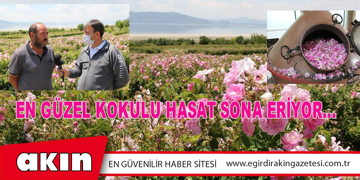 En Güzel Kokulu Hasat Sona Eriyor
