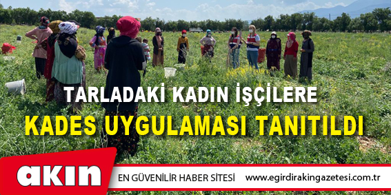Tarladaki Kadın İşçilere  KADES Uygulaması Tanıtıldı
