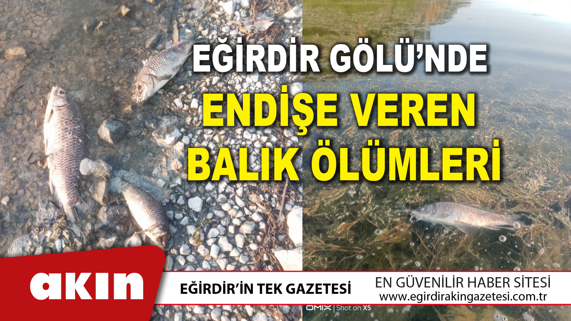 Eğirdir Gölü’nde Endişe Veren Balık Ölümleri