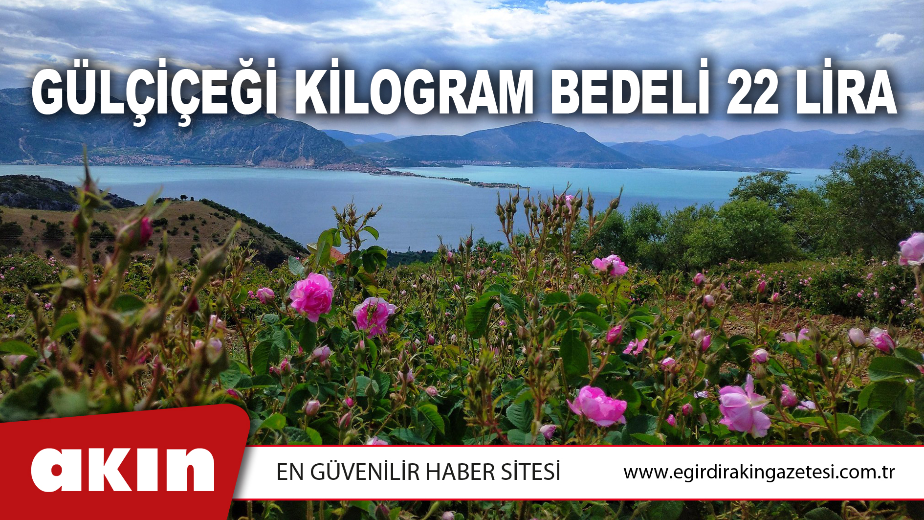 GÜLÇİÇEĞİ KİLOGRAM BEDELİ 22 LİRA