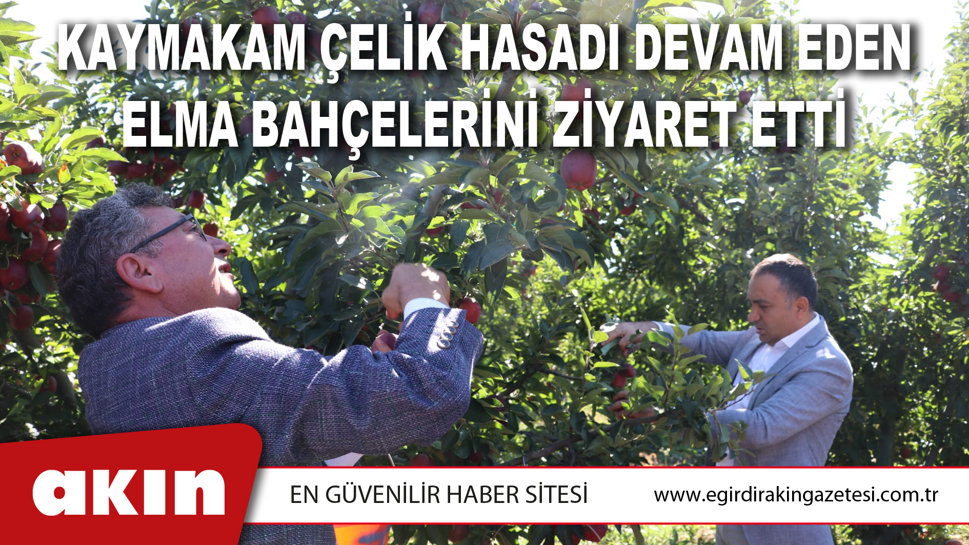 Kaymakam Çelik Hasadı Devam Eden Elma Bahçelerini Ziyaret Etti