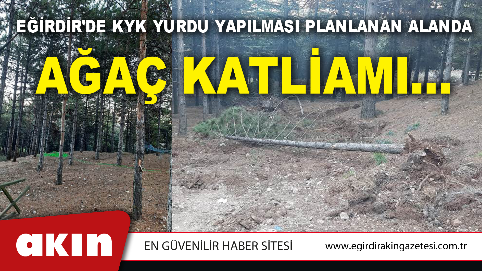 Eğirdir'de KYK Yurdu Yapılması Planlanan Alanda Ağaç Katliamı...