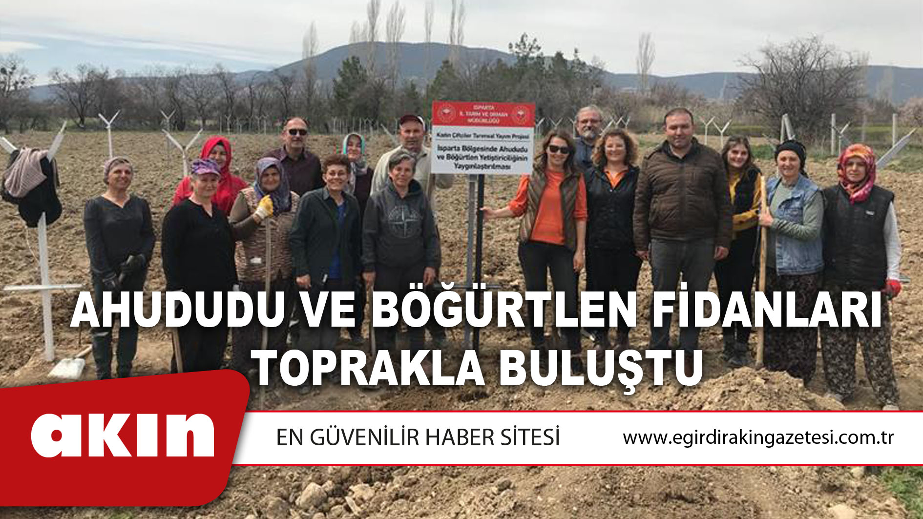 Ahududu Ve Böğürtlen Fidanları Toprakla Buluştu