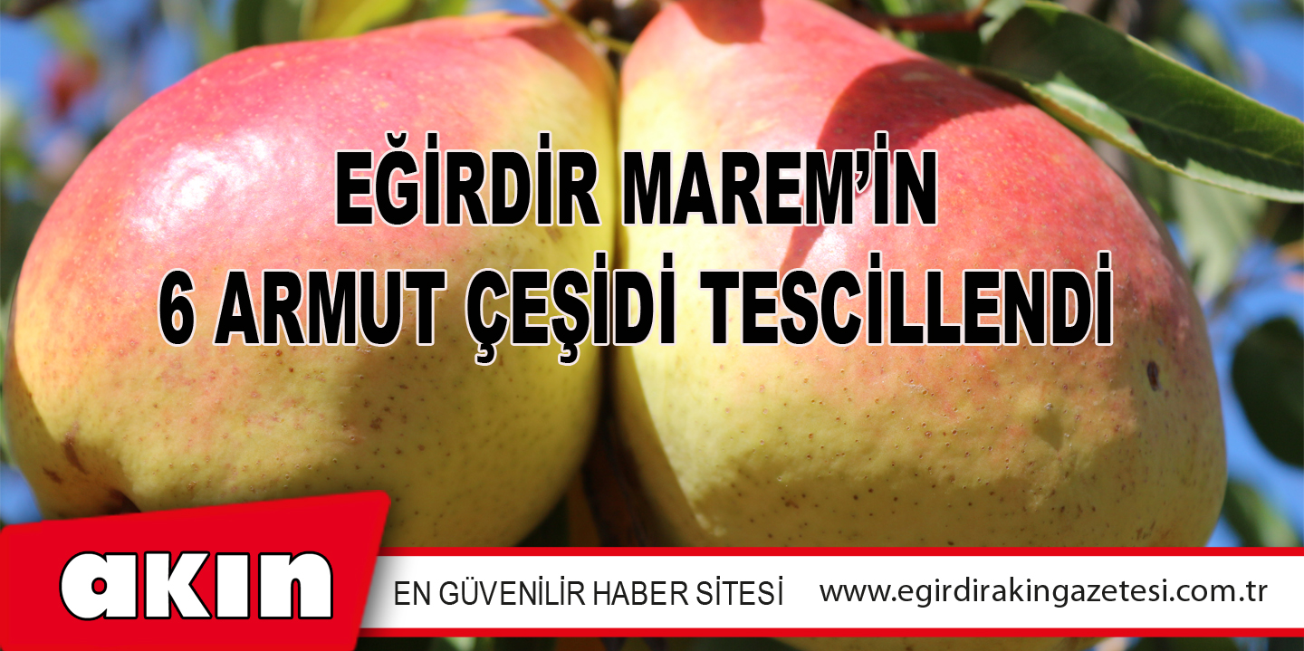 Eğirdir MAREM’in 6 Armut Çeşidi Tescillendi