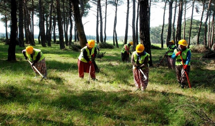Kamu kurum ve kuruluşlara İşçi alınacak