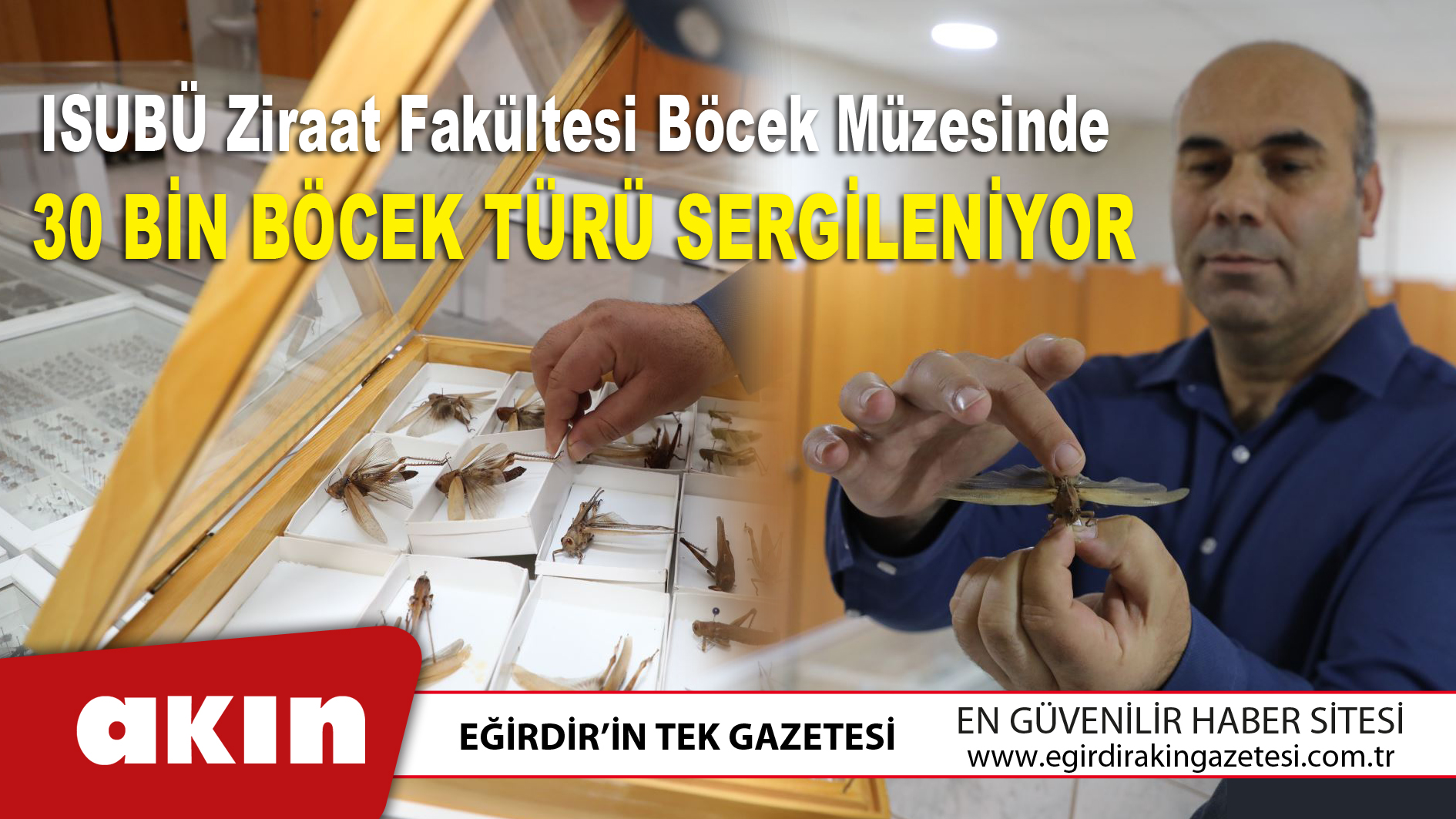 eğirdir haber,akın gazetesi,egirdir haberler,son dakika,ISUBÜ Ziraat Fakültesi Böcek Müzesinde 30 Bin Böcek Türü Sergileniyor