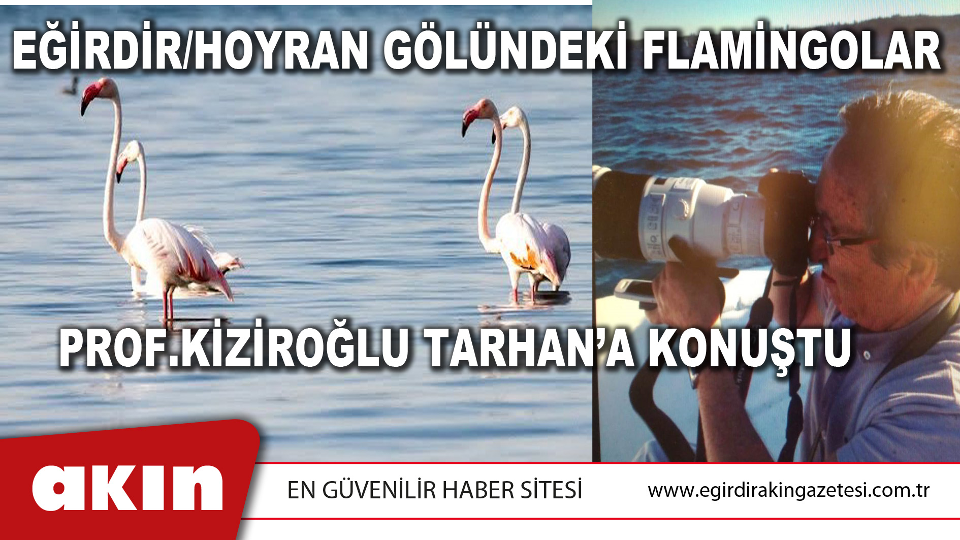 EĞİRDİR/HOYRAN GÖLÜNDEKİ FLAMİNGOLAR