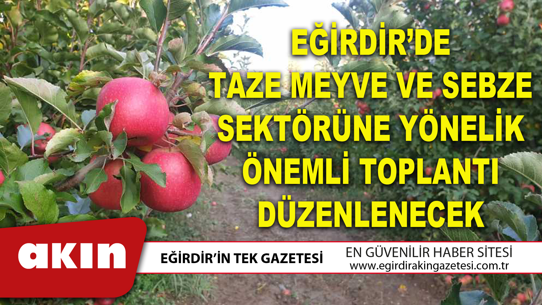 eğirdir haber,akın gazetesi,egirdir haberler,son dakika,EĞİRDİR’DE TAZE MEYVE VE SEBZE SEKTÖRÜNE YÖNELİK ÖNEMLİ TOPLANTI DÜZENLENECEK
