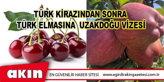 Türk Kirazından Sonra Türk Elmasına Uzakdoğu Vizesi