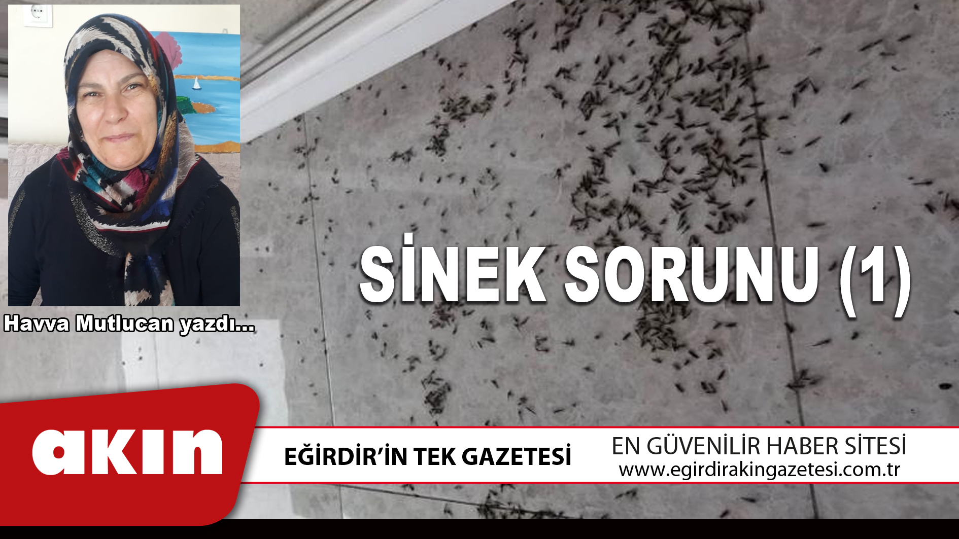 eğirdir haber,akın gazetesi,egirdir haberler,son dakika,SİNEK SORUNU (1)