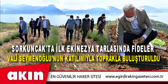 Sorkuncak'ta İlk Ekinezya Tarlasında Fideler Vali Seymenoğlu’nun Katılımıyla Toprakla Buluşturuldu