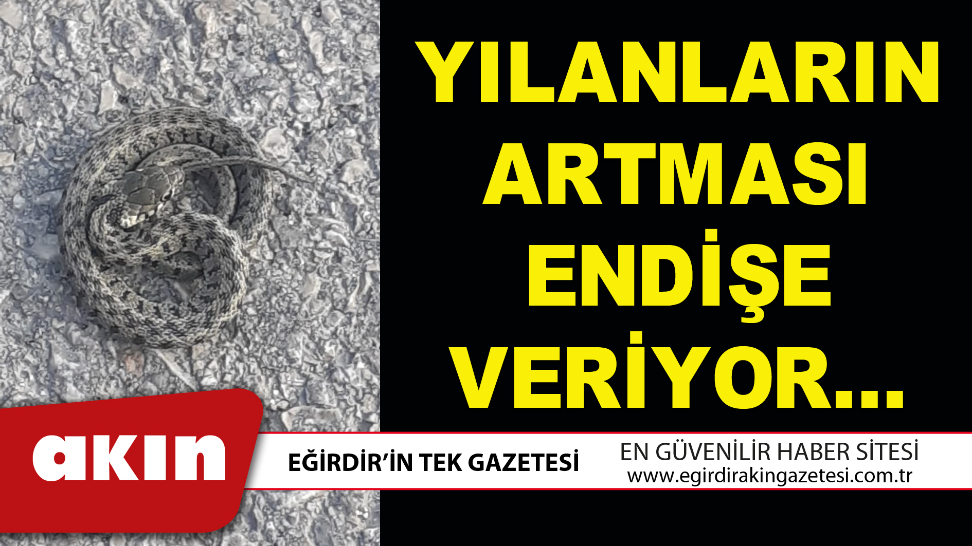 YILANLARIN ARTMASI ENDİŞE VERİYOR…