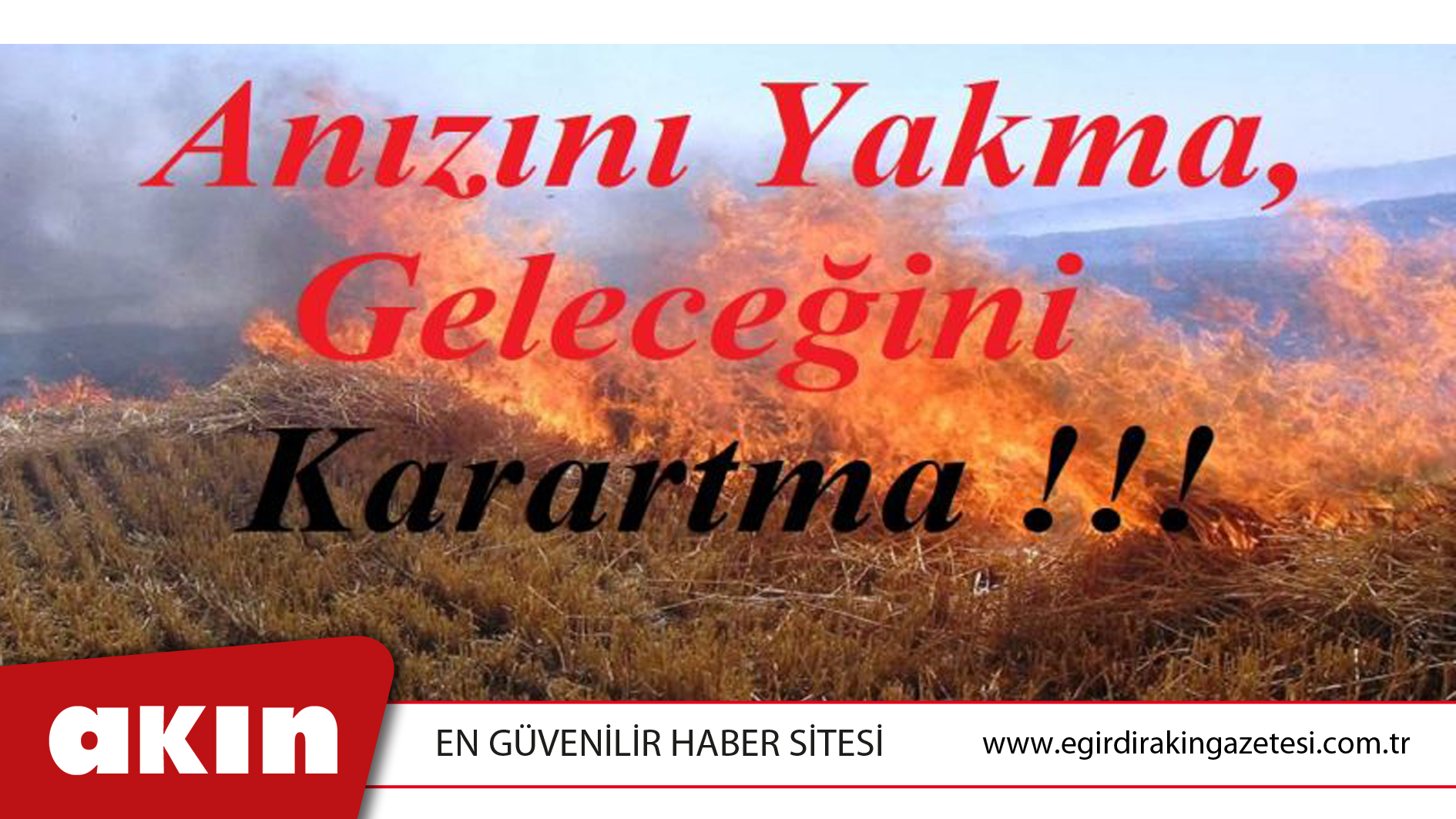 ANIZINI YAKMA, GELECEĞİNİ KARARTMA