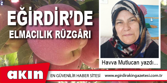 eğirdir haber,akın gazetesi,egirdir haberler,son dakika,Eğirdir’de Elmacılık Rüzgârı