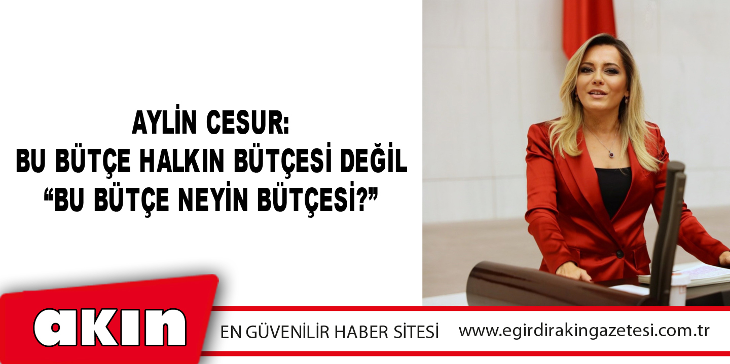 Aylin Cesur: Bu Bütçe Halkın Bütçesi Değil “Bu Bütçe Neyin Bütçesi?”