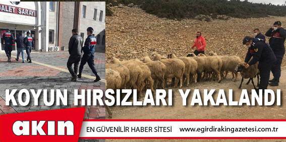 Koyun Hırsızları Yakalandı