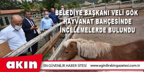 Belediye Başkanı Veli Gök  Hayvanat Bahçesinde İncelemelerde Bulundu