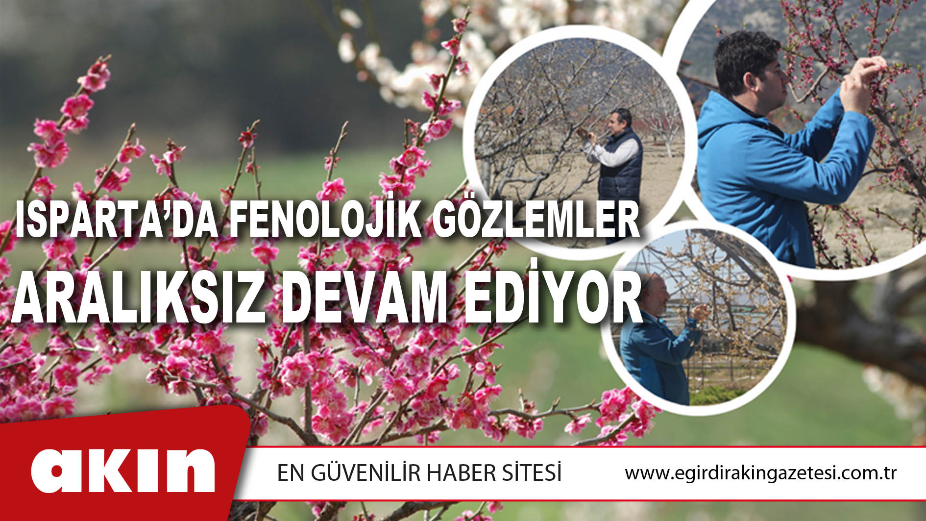 Isparta’da Fenolojik Gözlemler Aralıksız Devam Ediyor