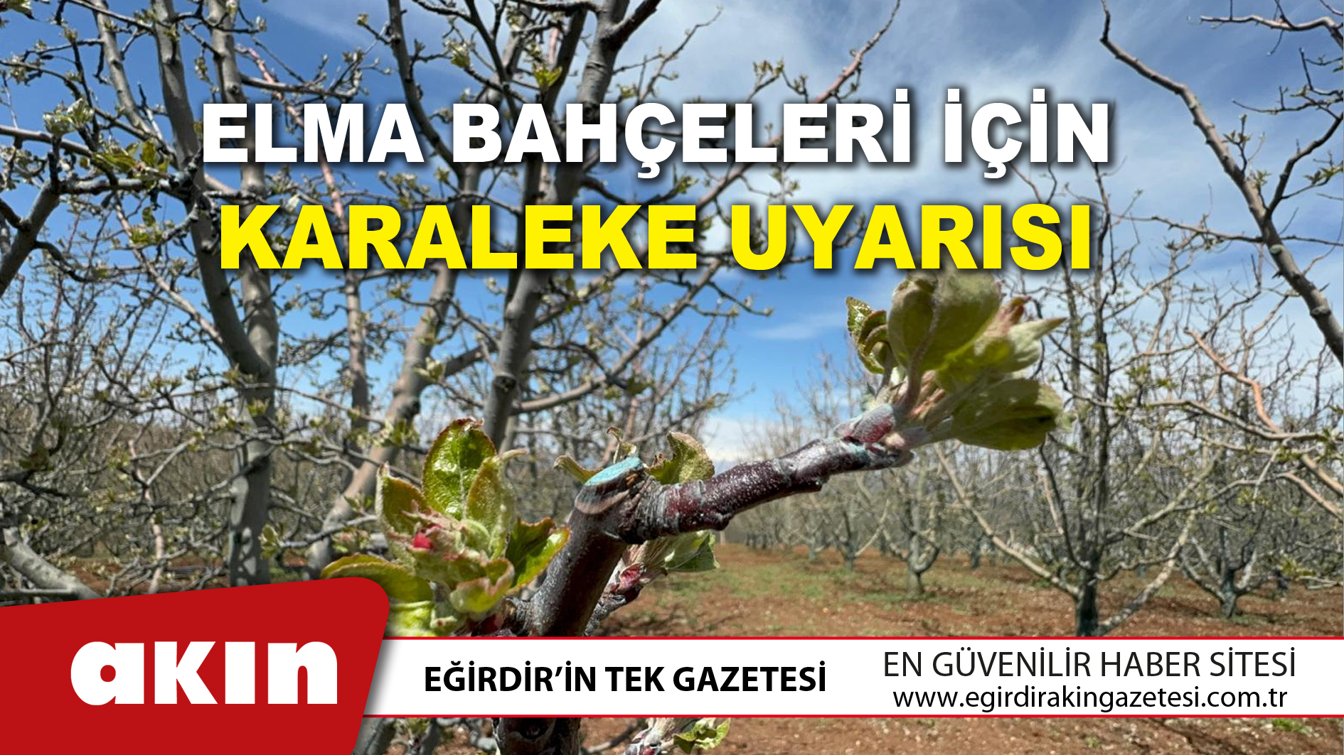 Elma Bahçeleri İçin Karaleke Uyarısı