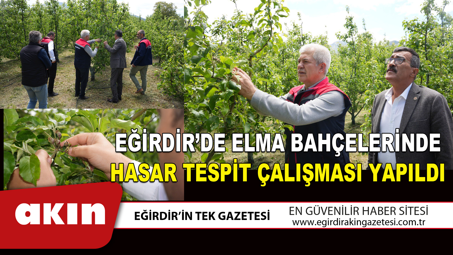 EĞİRDİR’DE ELMA BAHÇELERİNDE HASAR TESPİT ÇALIŞMASI YAPILDI